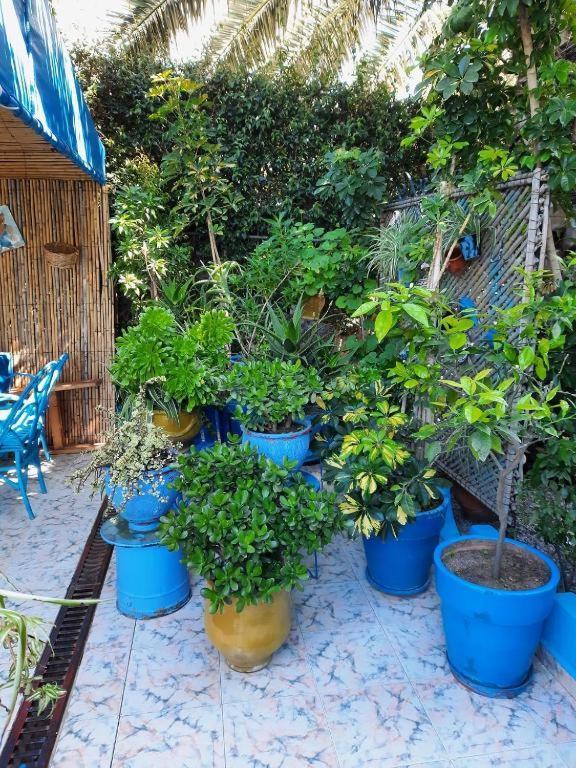 Maison D Hotes Marine Ksar Sghir 외부 사진